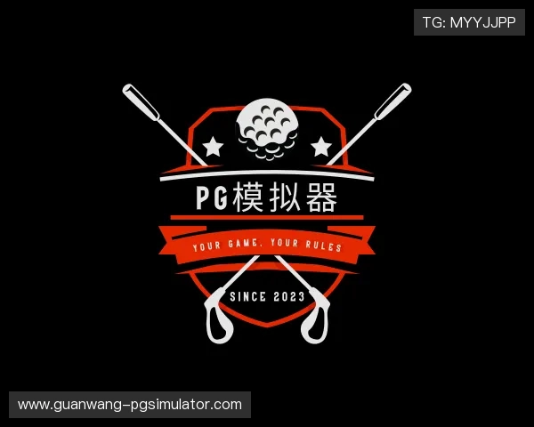 解读pg模拟器
